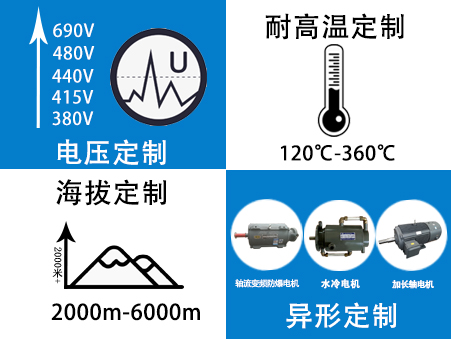 变频电机定制