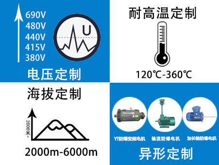 电机定制