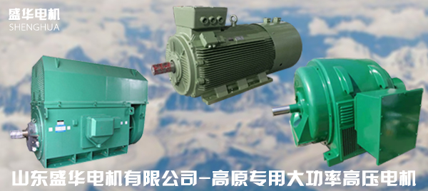 高原专用大功率电机
